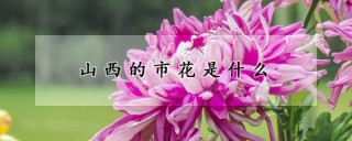 山西的市花是什么,第1图