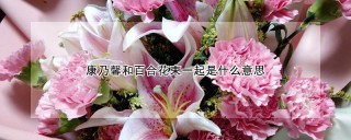 康乃馨和百合花束一起是什么意思,第1图