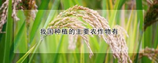 我国种植的主要农作物有,第1图