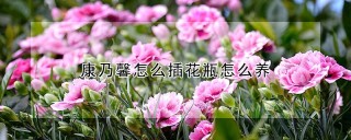 康乃馨怎么插花瓶怎么养,第1图