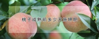 桃子成熟前多少天施钾肥,第1图