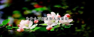 为什么不能送别人海棠花,第1图