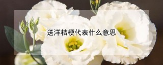 送洋桔梗代表什么意思,第1图