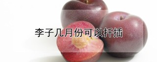 李子几月份可以扦插,第1图