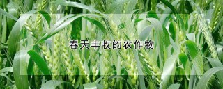 春天丰收的农作物,第1图