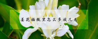 姜花插瓶里怎么多放几天,第1图