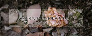 枯萎的花为什么不能放在家里,第1图