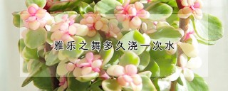 雅乐之舞多久浇一次水,第1图