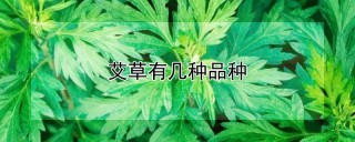 艾草有几种品种,第1图