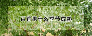 百香果什么季节成熟,第1图