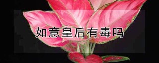 如意皇后有毒吗,第1图