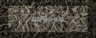 黑茶是什么茶,第1图