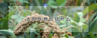 大田作物包括什么,第1图