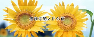 送暗恋的人什么花,第1图