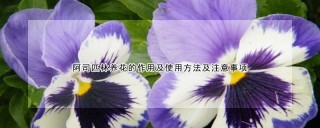 阿司匹林养花的作用及使用方法及注意事项,第1图