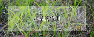 小草的作用,第1图