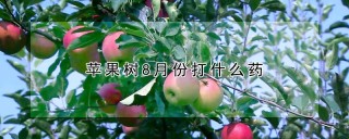 苹果树8月份打什么药,第1图