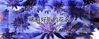 稀有好听的花名,第1图