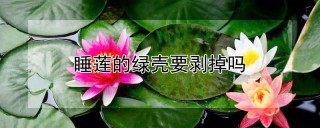 睡莲的绿壳要剥掉吗,第1图