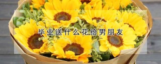 毕业送什么花给男朋友,第1图