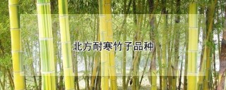 北方耐寒竹子品种,第1图