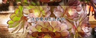 法师夏天怎么养护,第1图