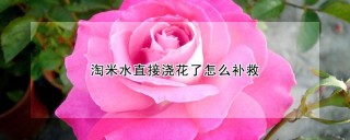 淘米水直接浇花了怎么补救,第1图