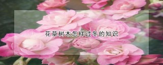 花草树木怎样过冬的知识,第1图