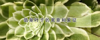 翡翠叶子的寓意和象征,第1图