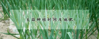 大蒜种植时间及施肥,第1图