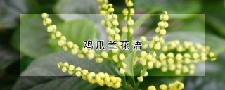 鸡爪兰花语,第1图