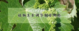 植物生长调节剂有哪些,第1图