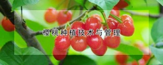 樱桃种植技术与管理,第1图