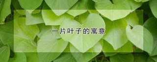 一片叶子的寓意,第1图