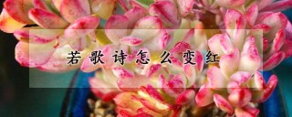 若歌诗怎么变红,第1图