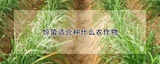 惊蛰适合种什么农作物,第1图