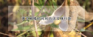 黄豆种植时间和方法及株行距,第1图