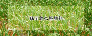 蒜苗怎么施肥料,第1图