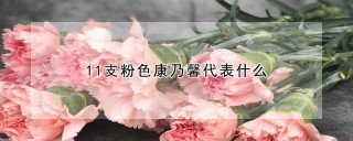 11支粉色康乃馨代表什么,第1图