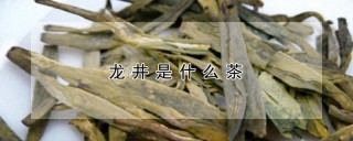 龙井是什么茶,第1图