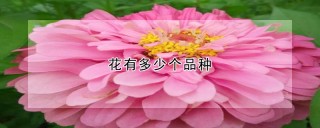 花有多少个品种,第1图