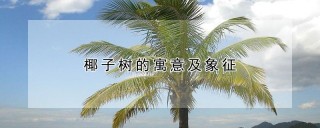 椰子树的寓意及象征,第1图