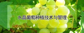 水晶葡萄种植技术与管理,第1图