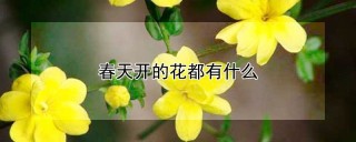 春天开的花都有什么,第1图