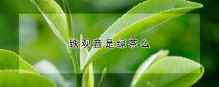 铁观音是绿茶么,第1图