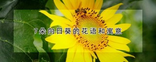 7朵向日葵的花语和寓意,第1图