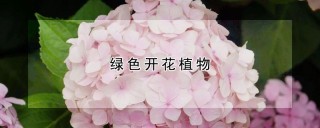 绿色开花植物,第1图