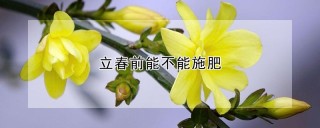 立春前能不能施肥,第1图