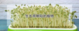 生长周期短的植物,第1图