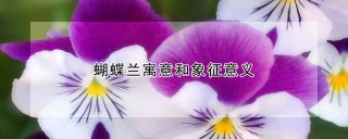 蝴蝶兰寓意和象征意义,第1图